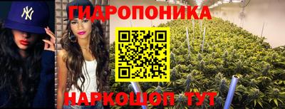 ALPHA PVP Мариинск